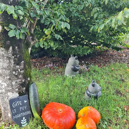 Le Puy Martineau Piscine Privee Interieure Chauffee Terrain Arbore A 10 Min Du Puy Du Fo *
