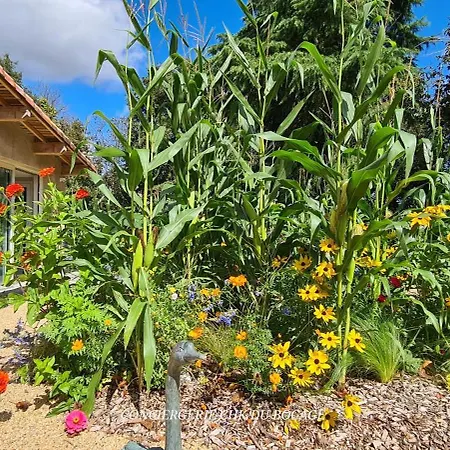 Le Puy Martineau Piscine Privee Interieure Chauffee Terrain Arbore A 10 Min Du Puy Du Fo * Saint-Mars-la-Réorthe