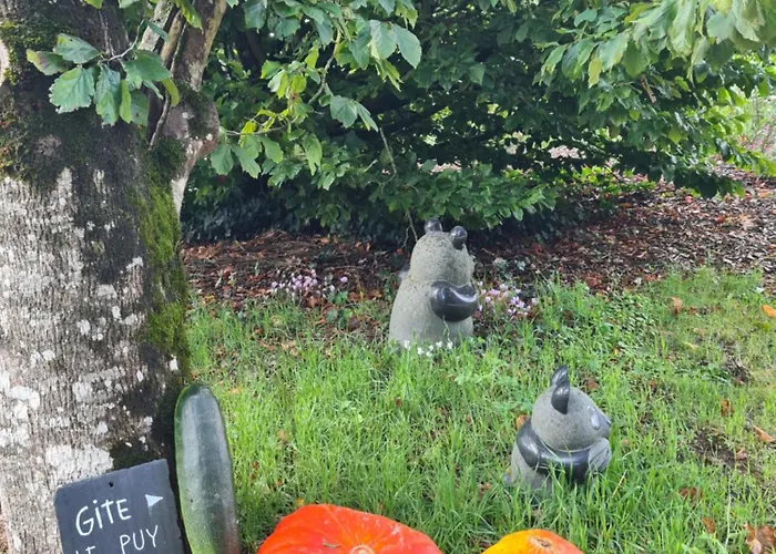 Le Puy Martineau Piscine Privee Interieure Chauffee Terrain Arbore A 10 Min Du Puy Du Fo *